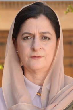 Ayşegül Cengiz Akman