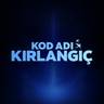 Kod Adı: Kırlangıç